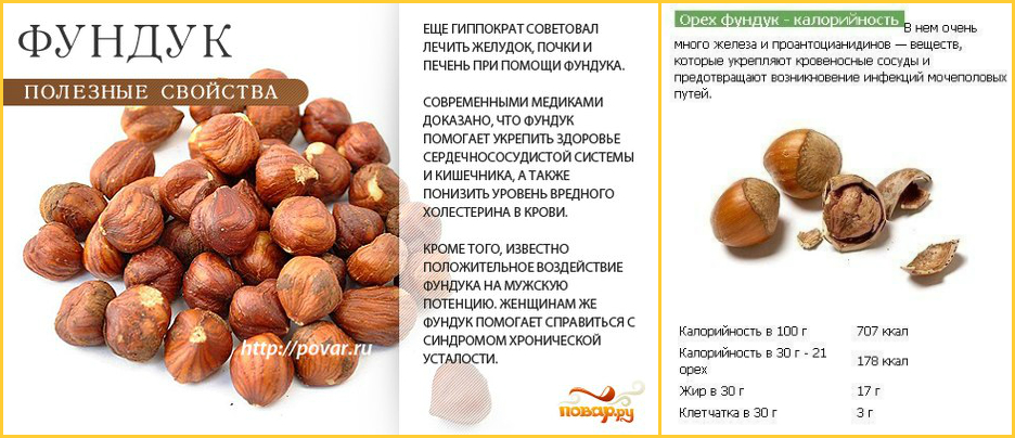 Лещина (лесной орех) - описание, полезные и вредные свойства, состав, калорийность, посадка