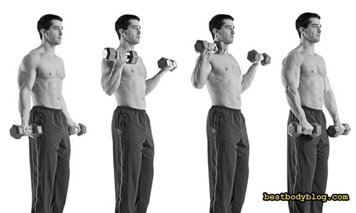 Упражнения для набора мышечной массы: забытые методики