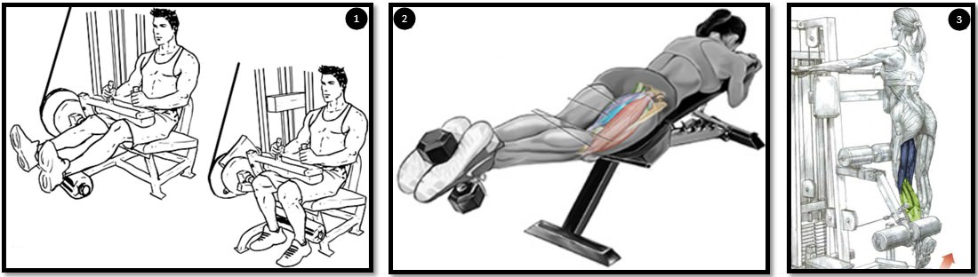 Разгибание ног в тренажере – лучшая техника выполнения упражнений в сидячем положении. все тонкости, секреты + инструкция для вас!