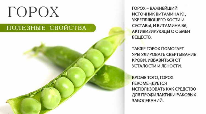Консервированный зеленый горошек: калорийность, польза и вред :: syl.ru