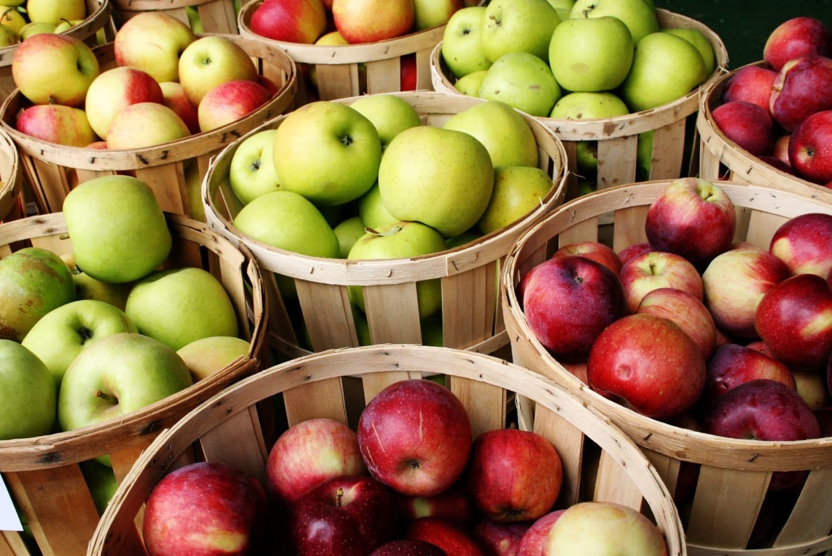 Польза яблок, калорийность яблок, противопоказания, как выбрать и хранить яблоки.