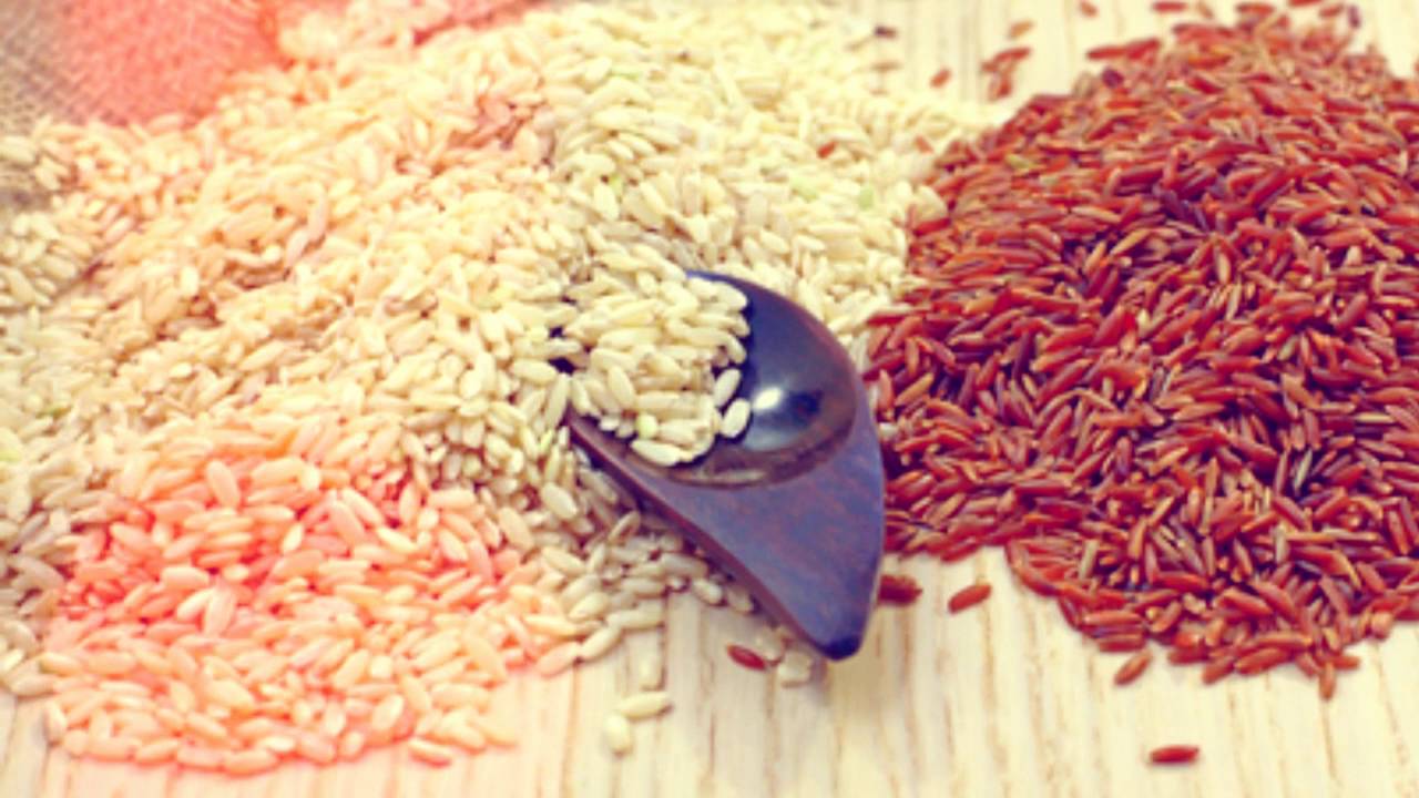 Польза и вред риса для организма человека - самый полный обзор