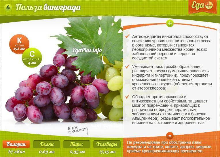Уровень калорийности зеленого винограда кишмиш