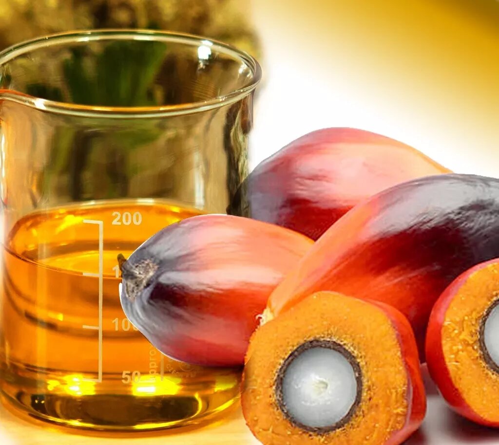 Многие считают, что пальмовое масло вредит здоровью. разберемся, так ли это на самом деле