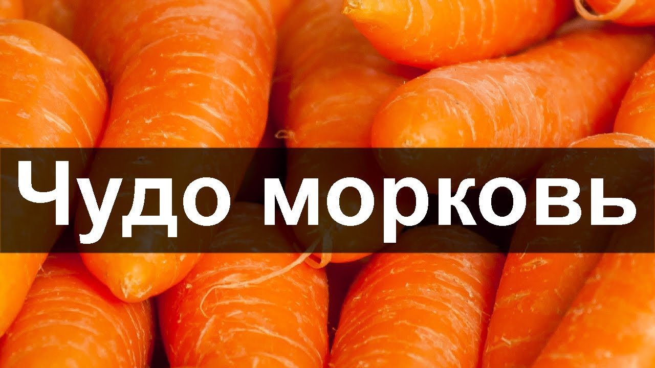 Морковь по-корейски. калорийность на 100 грамм при диете, белки, жиры, углеводы, польза и вред