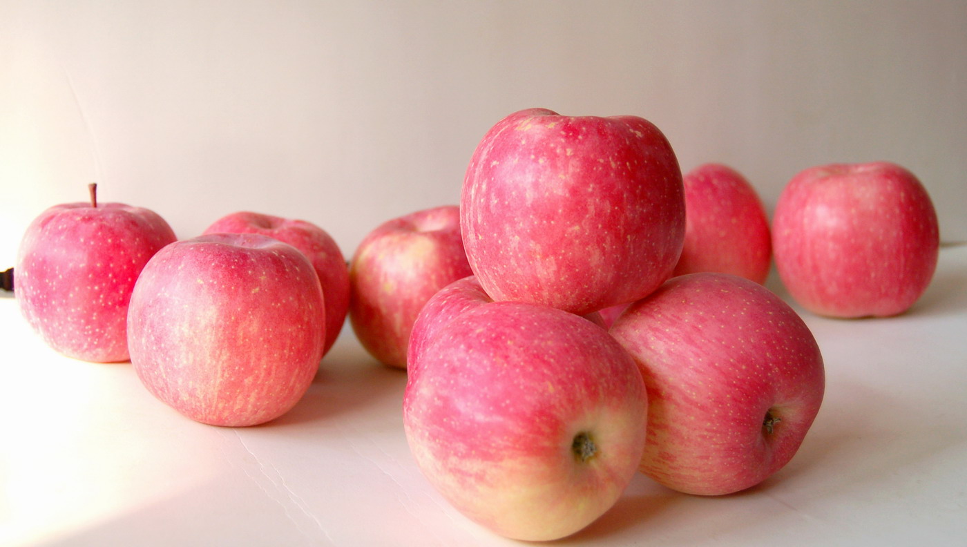 Яблоки - описание, польза и вред для организма, состав, калорийность, рецепты приготовления, фото