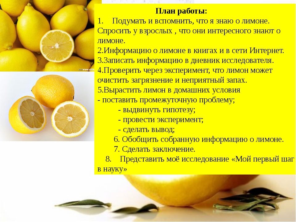 Где и как хранить лимоны в домашних условиях правильно, срок хранения и условия – хитрости, которые помогут сохранить цитрусы надолго