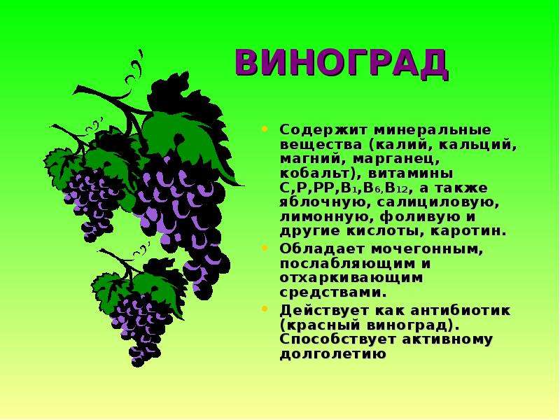 Польза и вред винограда для организма человека, калорийность, состав