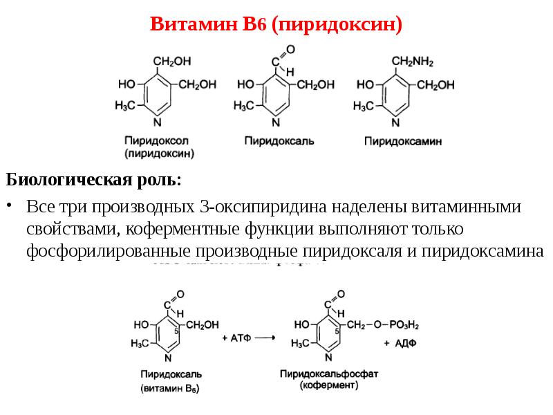 Витамин b6 (пиридоксин) - влияние на организм, польза и вред, описание - www.calorizator.ru