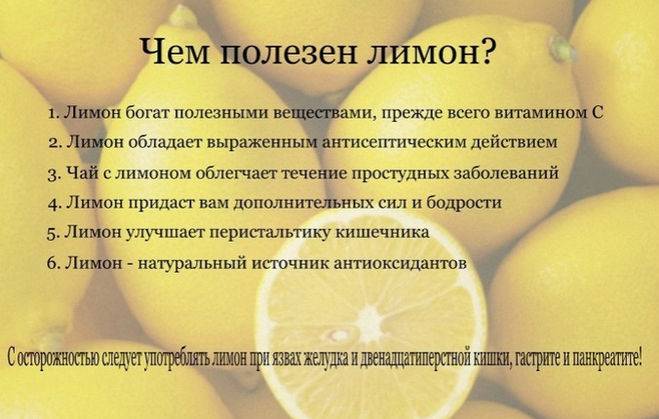 Лимон - калорийность, полезные свойства, польза и вред, описание