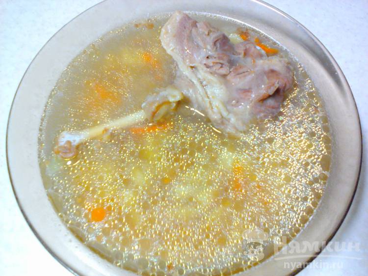 Рецепты приготовления вкусных блюд из дикого гуся