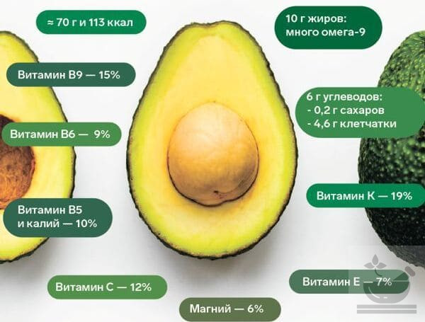 Авокадо: польза и вред для организма, калорийность, состав