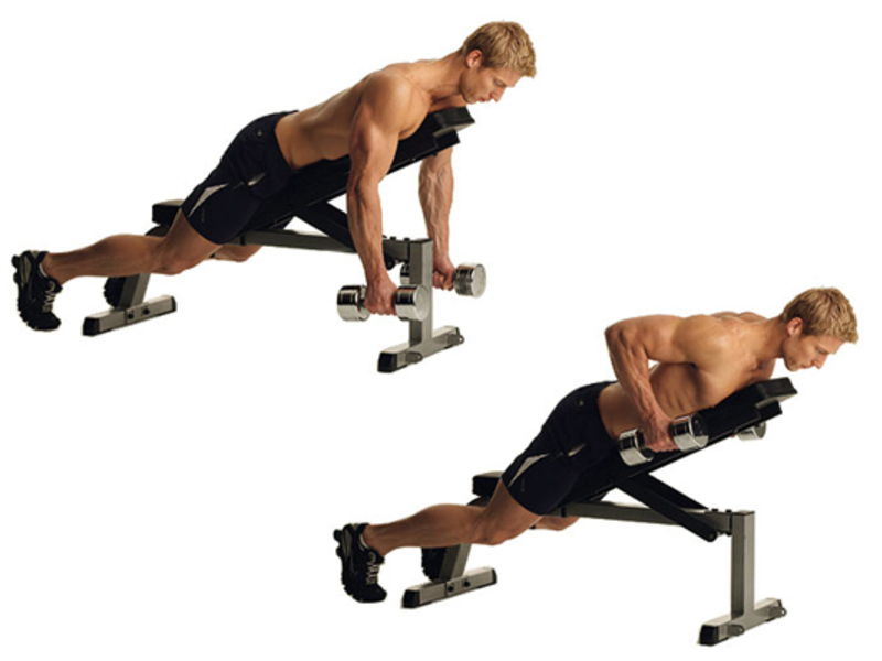 Тяга гантелей лежа на скамье – упражнение на широчайшие мышцы спины Она снимает нагрузку с ног, и помогает изолировать мышцы спины