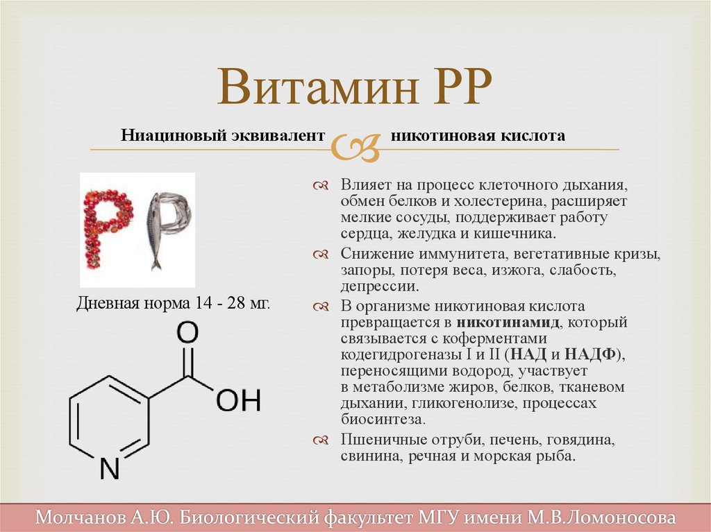 Витамин B13 Оротовая кислота, урацилкарбоновая кислота - описание витамина, пищевые источники, польза и вред, суточная потребность, использование