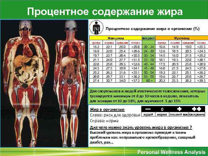 Биоимпеданс как метод анализа состава тела человека. учимся читать данные.    
биоимпеданс как метод анализа состава тела человека. учимся читать данные.