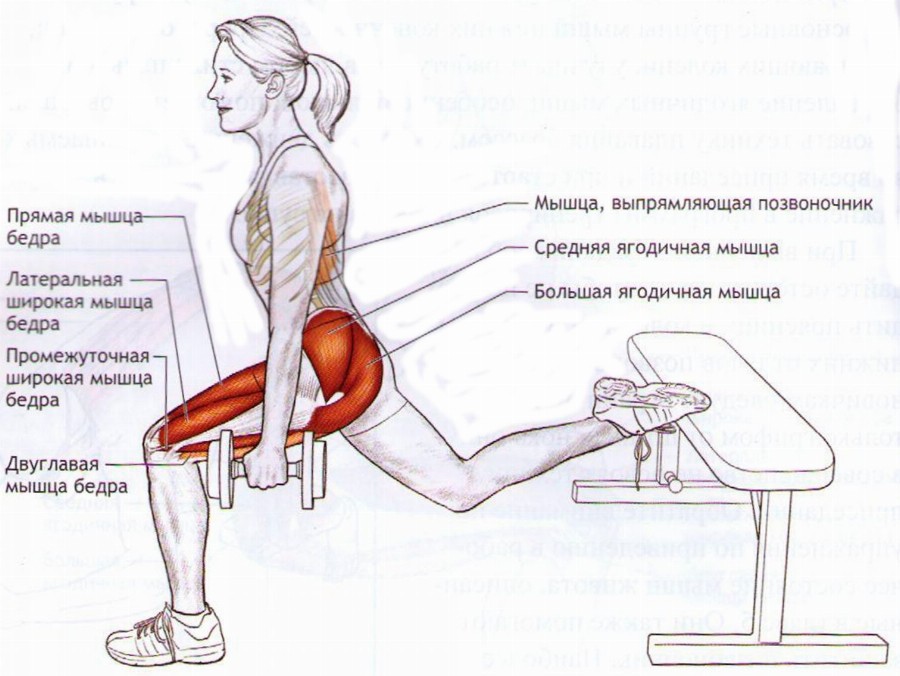 Приседания зерхера: техника со штангой, особенности и варианты упражнения