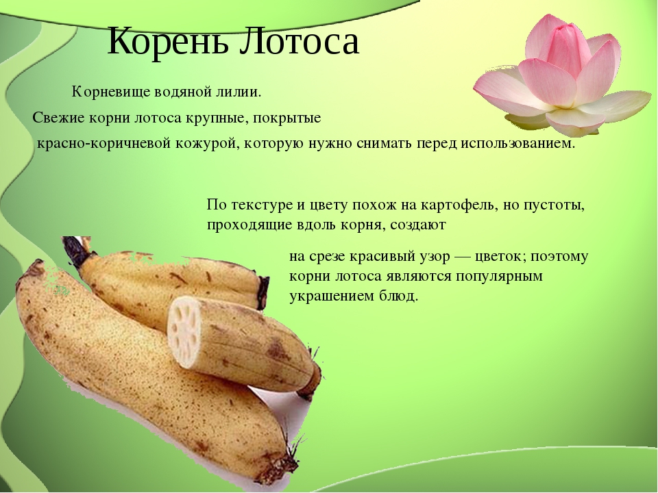 Кокосовый орех - калорийность, полезные свойства, польза и вред, описание - www.calorizator.ru