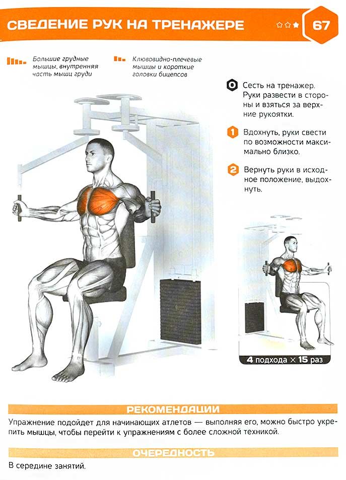 Тренажер-бабочка: на какие мышцы действует, упражнения, отзывы - tony.ru