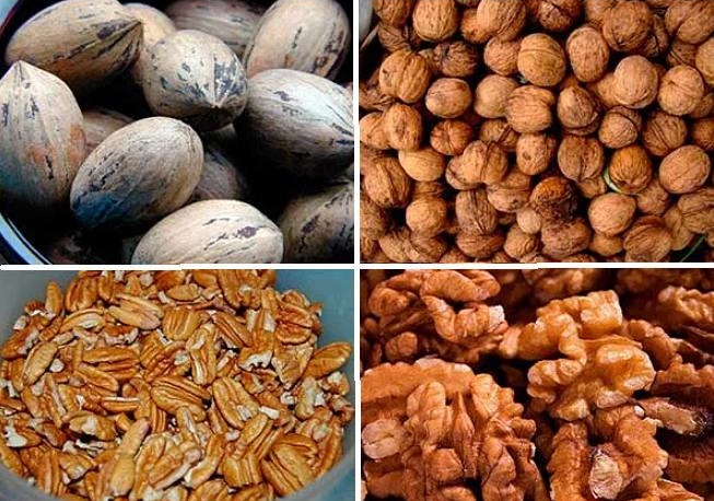 Орехи: самые калорийные сорта и их польза при похудении (таблица калорийности)