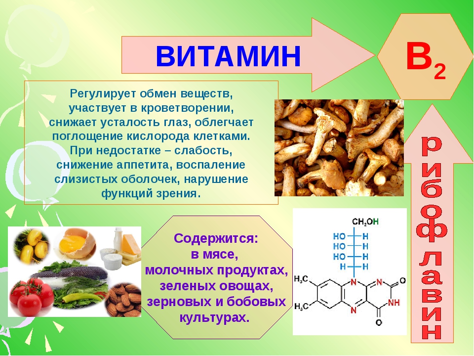 Витамин b2 рибофлавин. описание, свойства. влияние на организм человека
