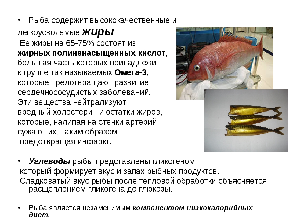 Какую рыбу есть при похудении: ценные советы