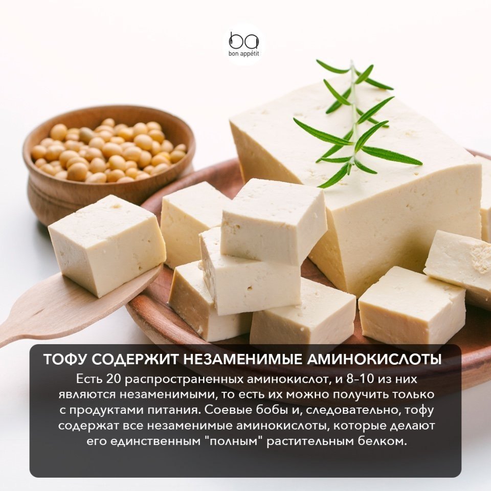 Сыр тофу: состав, описание, польза и вред, рецепты приготовления в домашних условиях