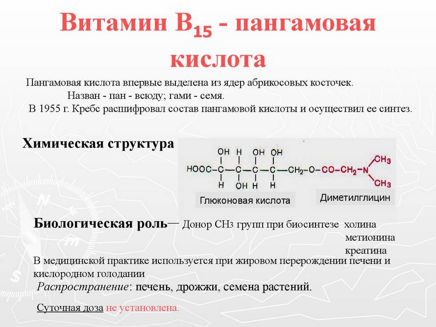Витамин b15 (пангамовая кислота, пангамат кальция): описание