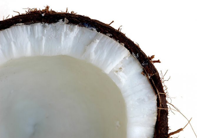 Как хранить кокос: сроки, правила, условия для хранения кокоса дома