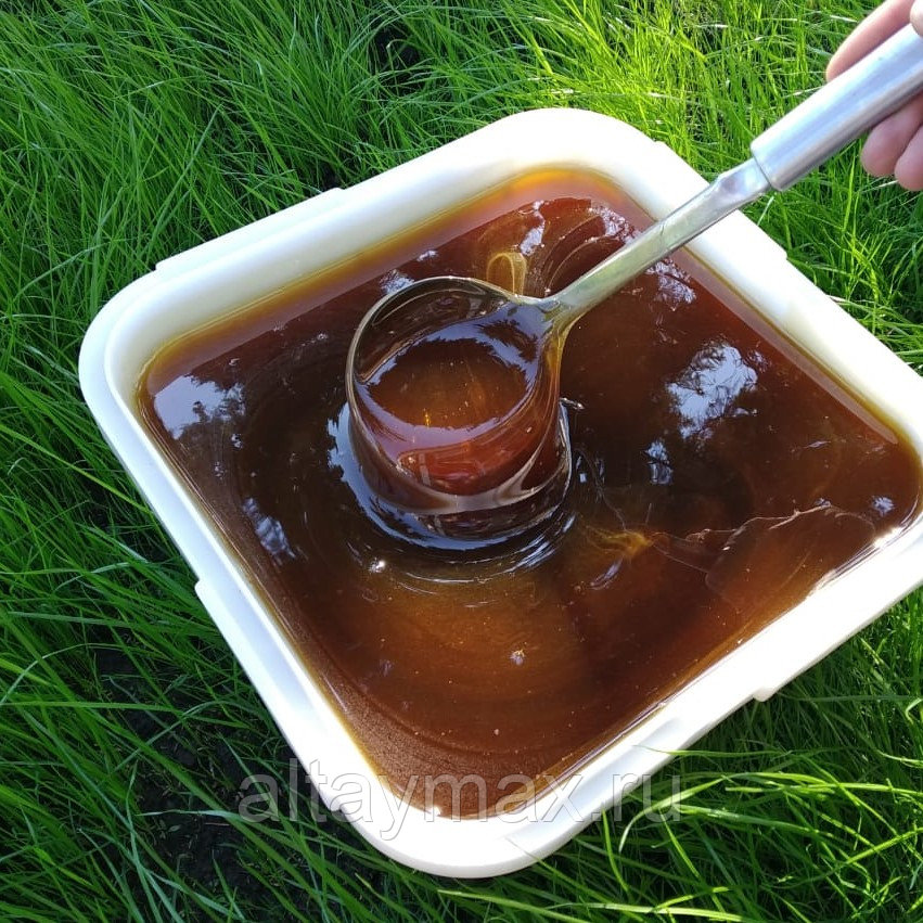 Дягилевый мед: состав, полезные свойства, вред, применение