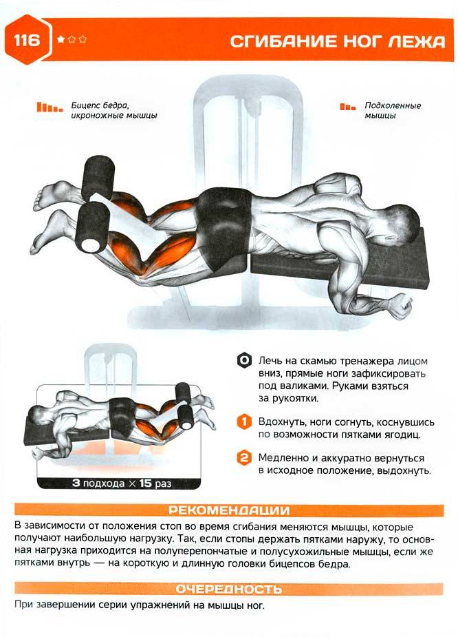Сгибание ног лежа в тренажере: техника выполнения, рекомендации