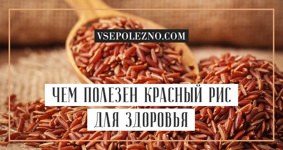 Польза и вред красного риса, калорийность и рецепты приготовления