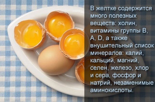 Состав куриного яйца, пищевая ценность, вредные свойства куриных яиц, маркировка и выбор куриных яиц, полезные свойства.