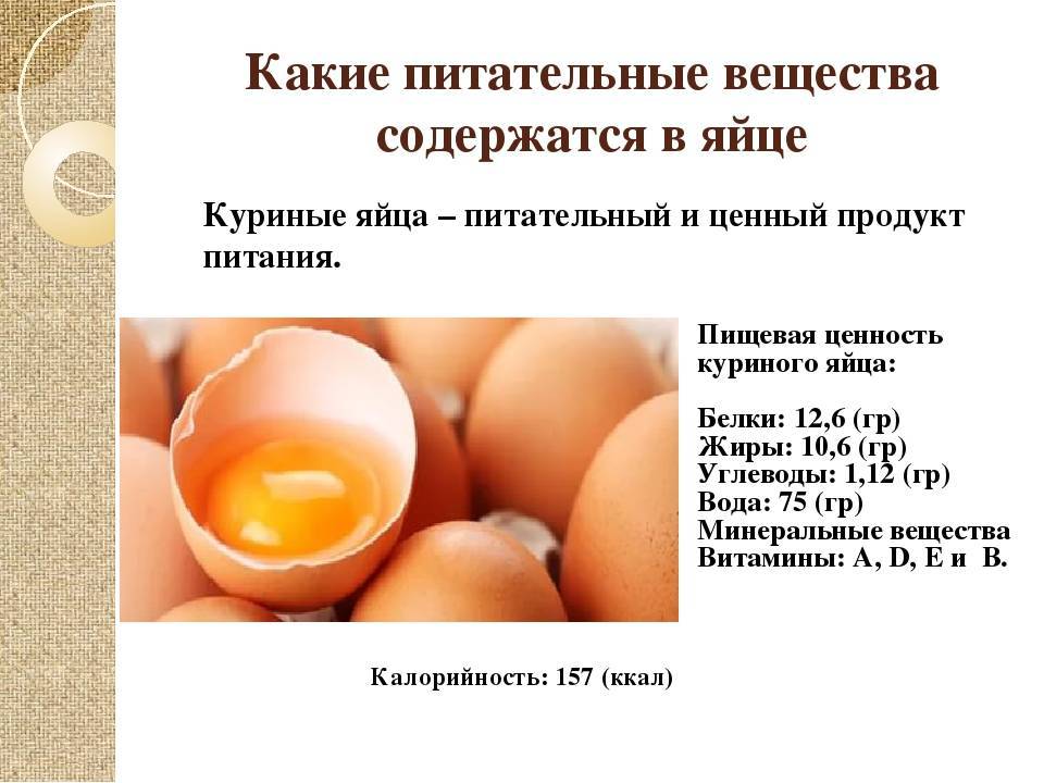 Яичный порошок, состав. что можно приготовить из яичного порошка? :: syl.ru