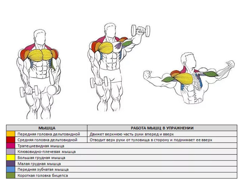 Тренируем трицепс: как выполнять разгибание рук на вертикальном блоке | rulebody.ru — правила тела