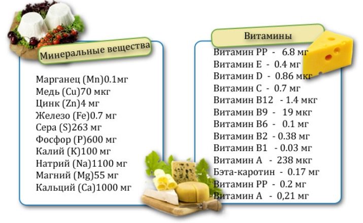 Сыр пармезан: что это за сыр, калорийность, состав и как его едят?