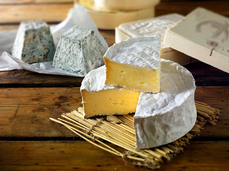 Сыр камамбер полезные свойства. сыр «камамбер»: история возникновения, польза и вред, особенности приготовления и употребления | здоровье человека