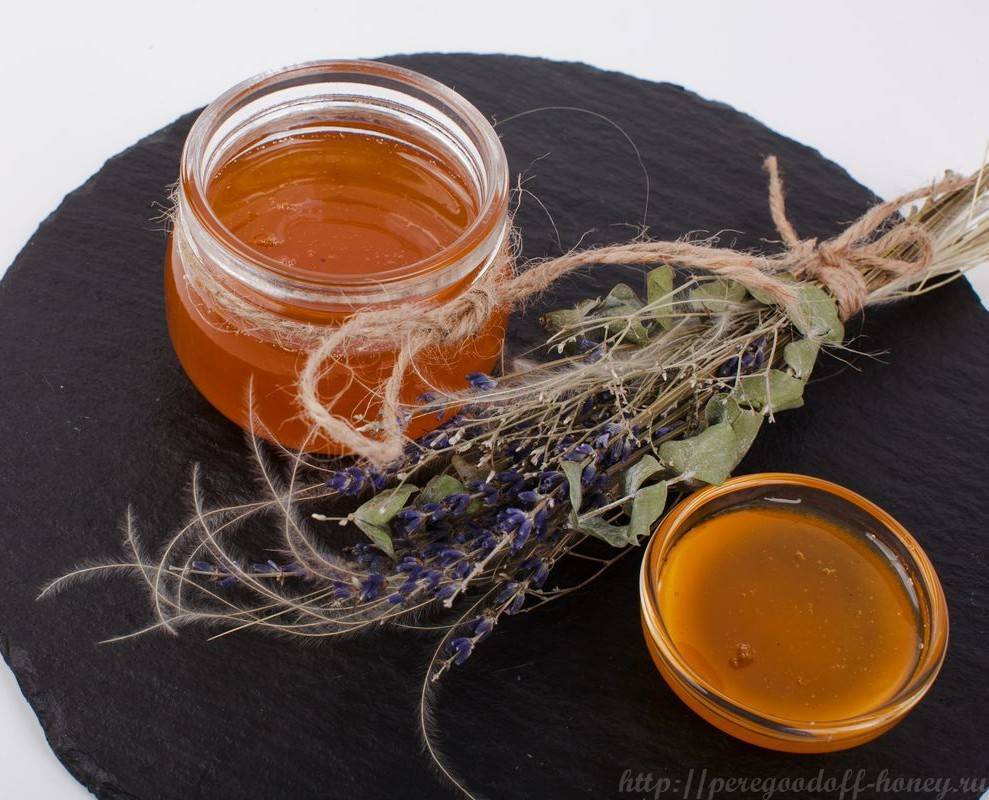 Дягилевый мед: полезные свойства и противопоказания, состав и калорийность, использование в кулинарии