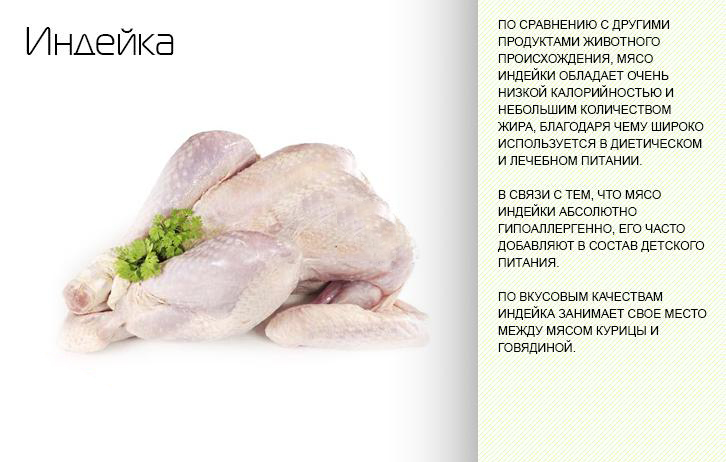 Мясо курицы: состав, калорийность, стоимость, польза и вред