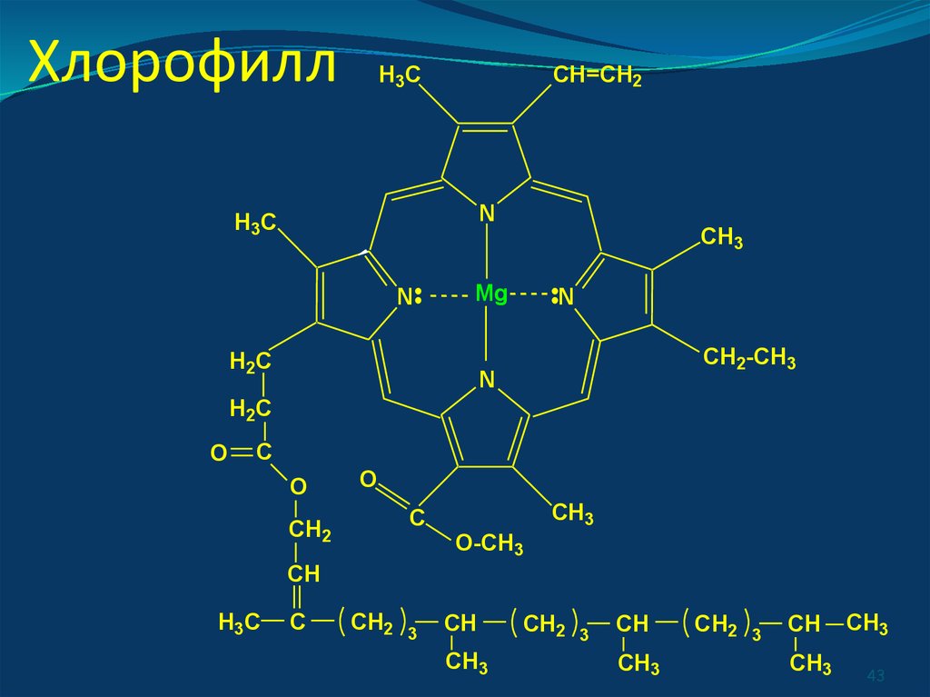 Хлорофилла медные комплексы (е141) польза и вред — sinemor.ru