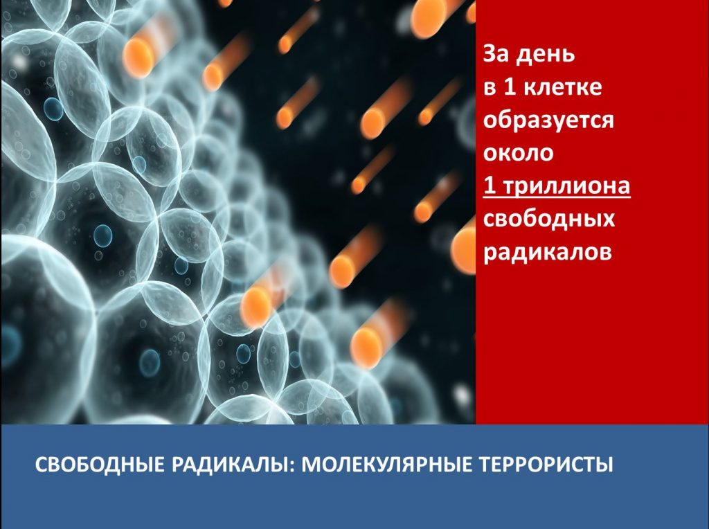 Окислительный стресс. Свободные радикалы и окислительный стресс. Оксидативный стресс и свободные радикалы. Окислительный стресс и антиоксиданты. Свободные радикалы и антиоксиданты в организме.