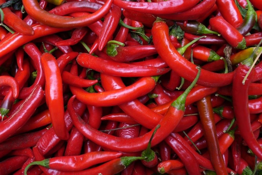 Красный перец: польза и вред, калорийность и особенности применения