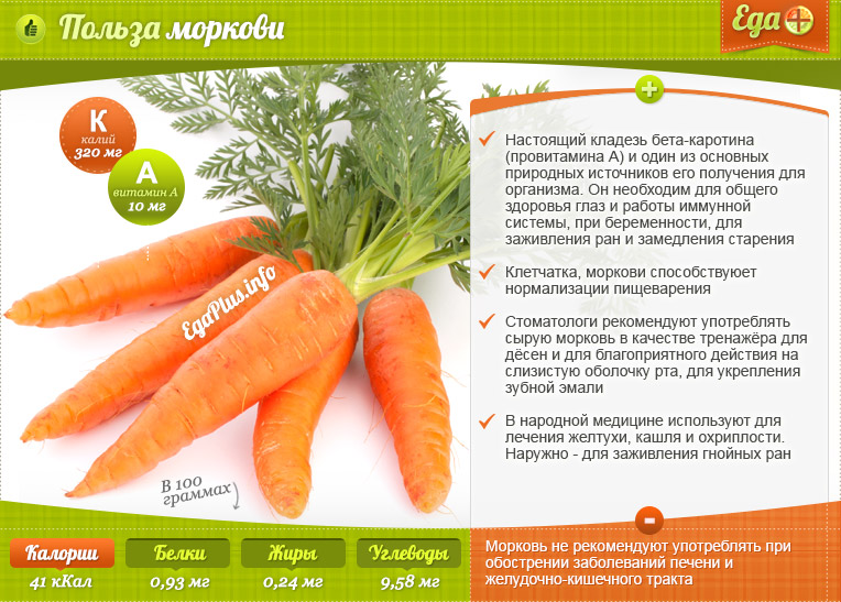 Морковь по-корейски: польза, вред, противопоказания и калорийность