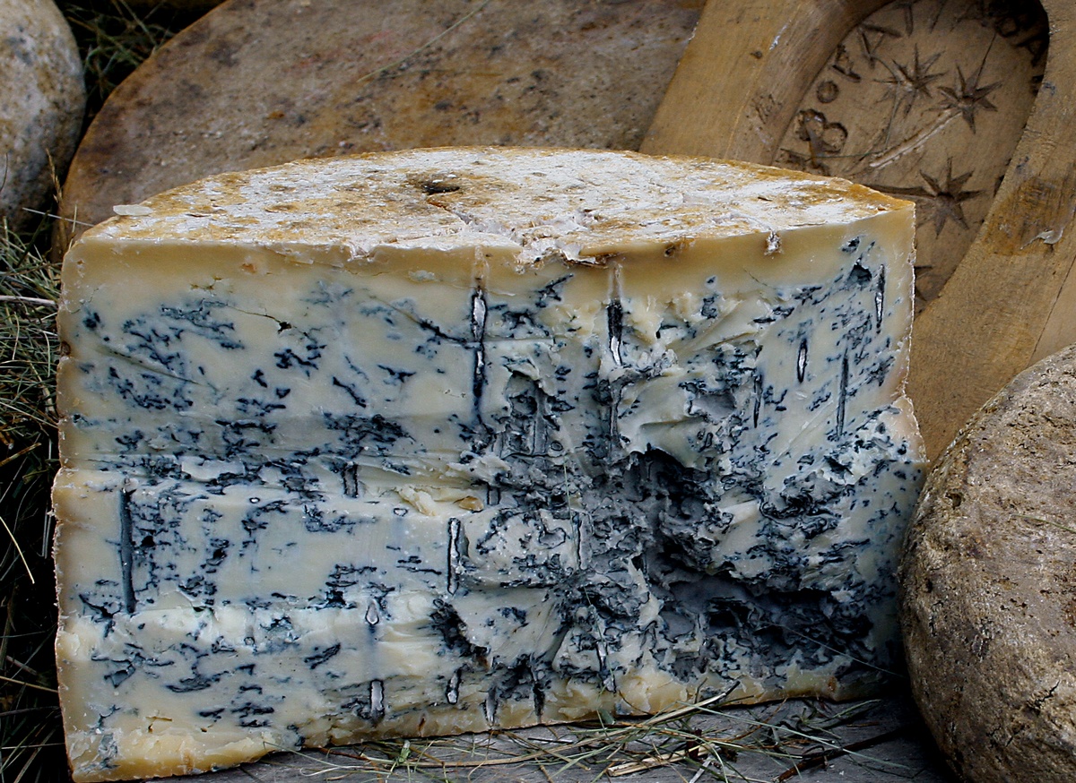 Сыр с голубой плесенью — польза и вред, рекомендации как и с чем есть на ydoo.info