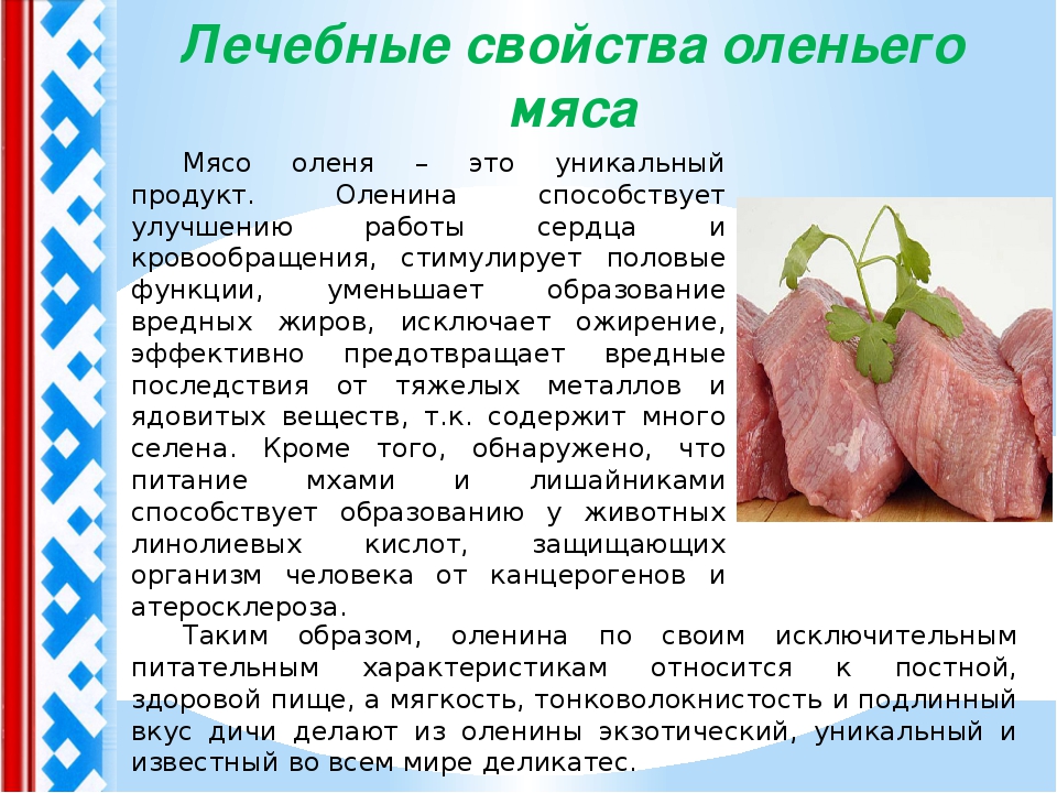 Оленина: польза и вред мяса для организма человека, состав, калорийность, содержание бжу, рецепты
