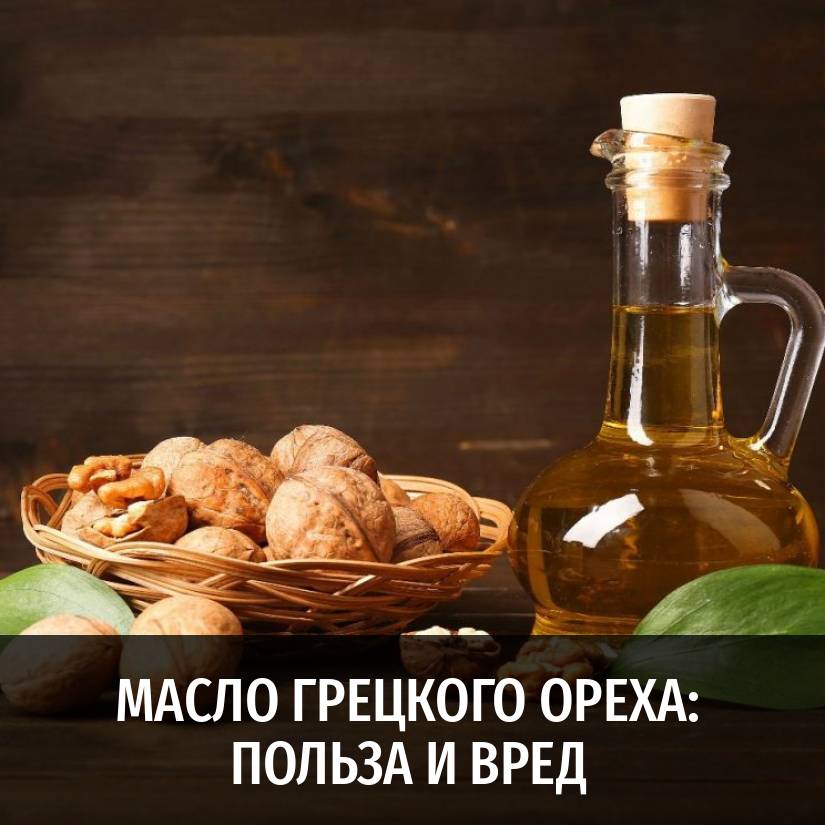 Масло грецкого ореха: полезные свойства, состав, применение и противопоказания для мужчин и женщин