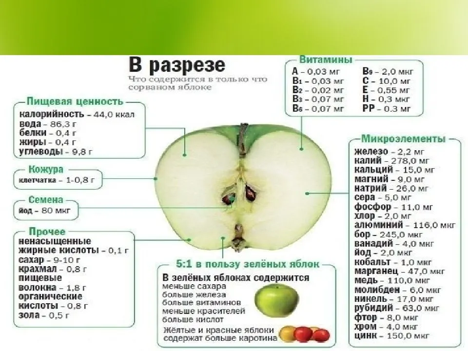 Калорийность яблоко зеленое. химический состав и пищевая ценность.