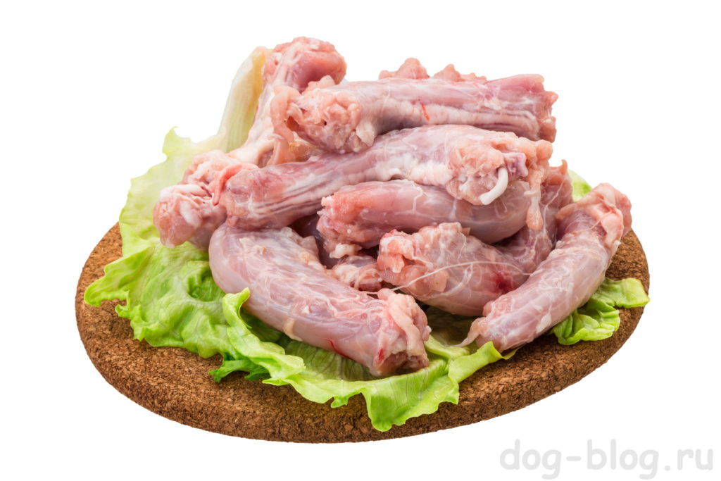 Куриные желудки: польза и вред, калорийность отварных, тушеных и жаренных, состав и пищевая ценность, полезные свойства и противопоказания