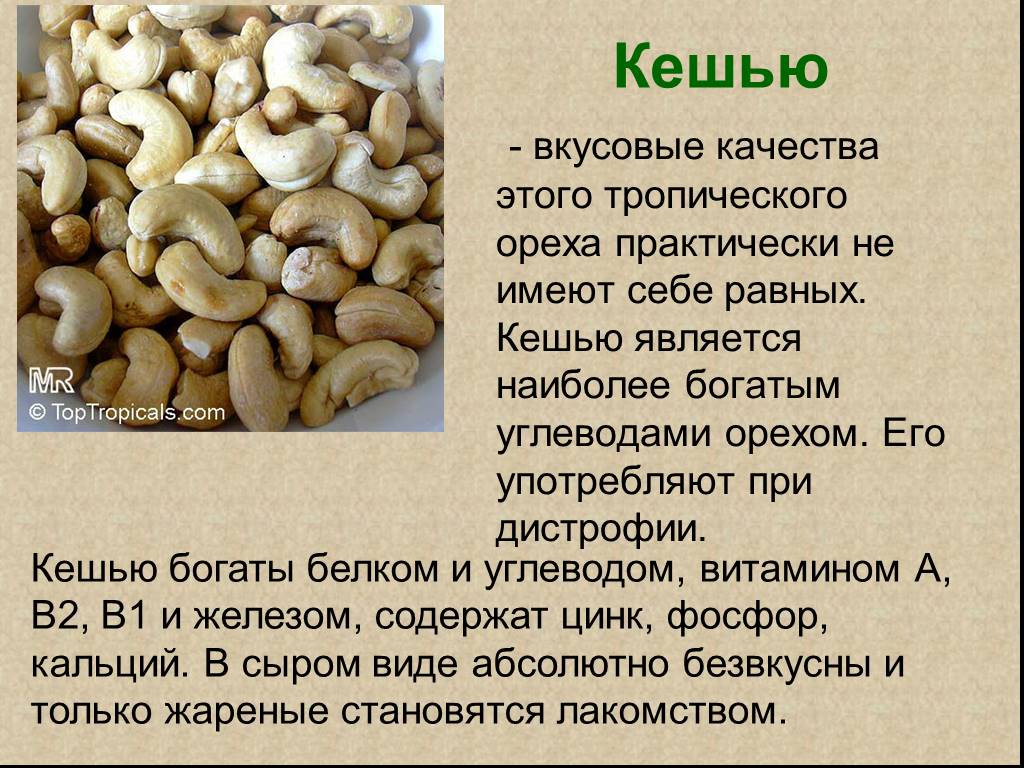 Кешью: польза и вред ореха для организма женщин, мужчин, применение