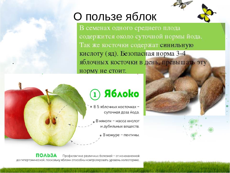 Яблоко – полезные свойства, состав и противопоказания