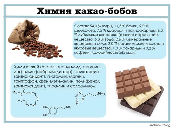 Какао бобы польза и вред для здоровья, состав, калорийность, бжу